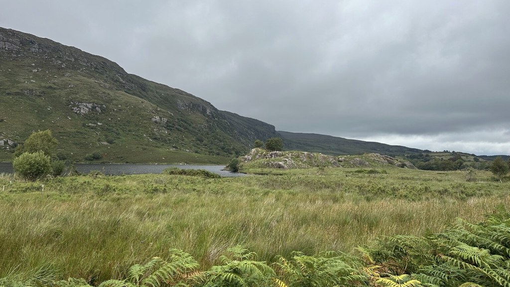 Green Irish landscape with a lake and misty hills near Cork